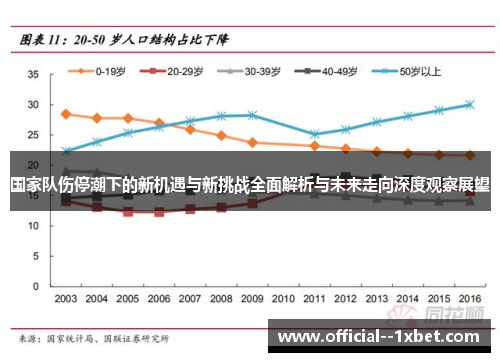 国家队伤停潮下的新机遇与新挑战全面解析与未来走向深度观察展望
