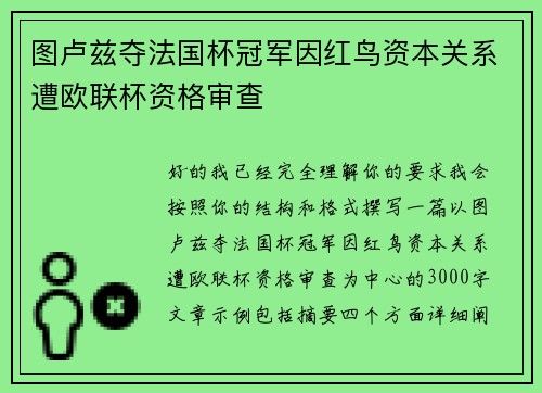 图卢兹夺法国杯冠军因红鸟资本关系遭欧联杯资格审查
